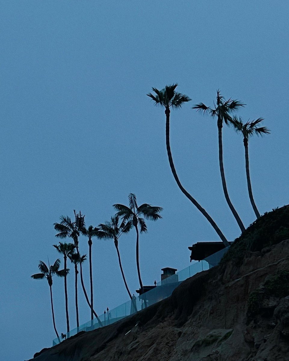 akinanicolle's tweet photo. back in cali 🌴 https://t.co/OHM6ndmrtt
