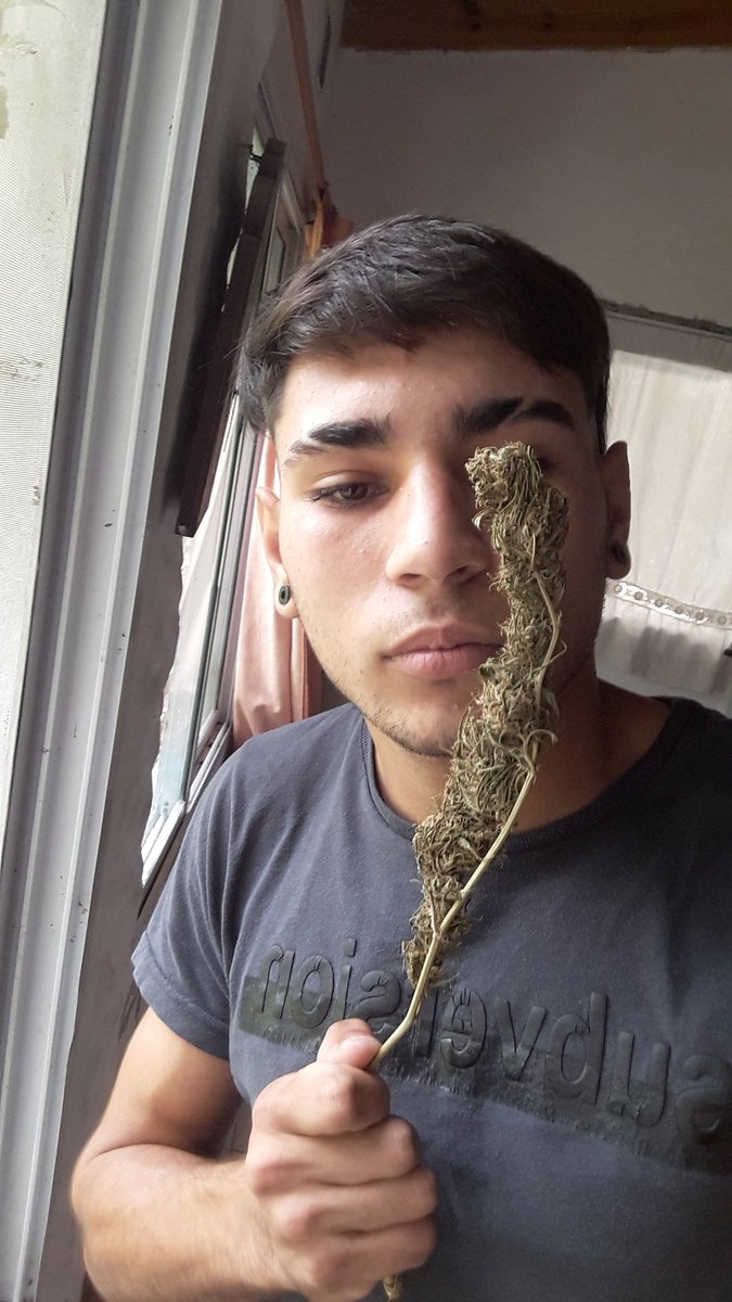 Muchas malas energías prendan palo santo Che