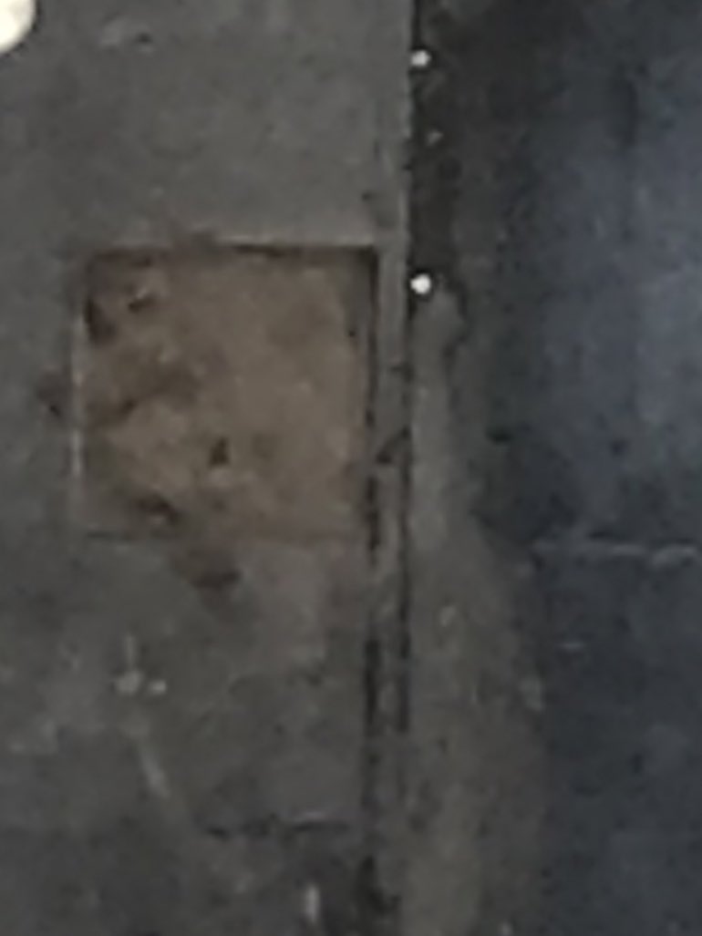 Purga_NOM's tweet image. Sra Hassler árboles secos por falta de regadío . Otros ya, no existen . (Se secaron)
Al parecer el encargado de áreas verdes … del municipio, no está haciendo su trabajo . O se están robado el agua ?
 @Equipo_Iraci 
#Amunategui #Arboles #secos #agua 
@amoarbolurbano