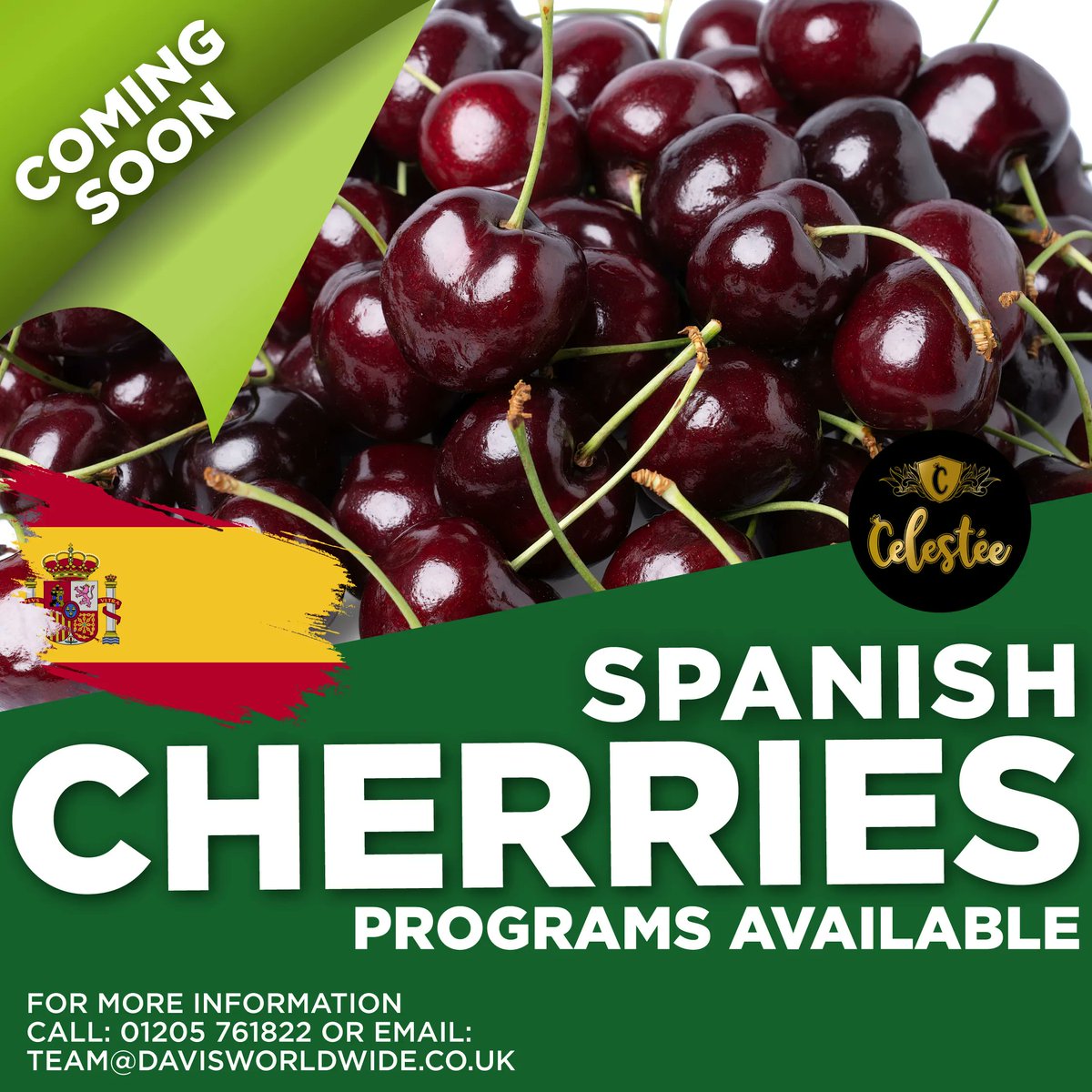 The Very Best Spanish Cherries, enjoy the best tasting cherries, delicious, juicy & full of flavour.
Order yours today. For further information call 01205 761822 or email team@davisworldwide.co.uk 
#cherries #freshcherries #cherry #fruit #fruits #freshfruit #5aday #snack #red