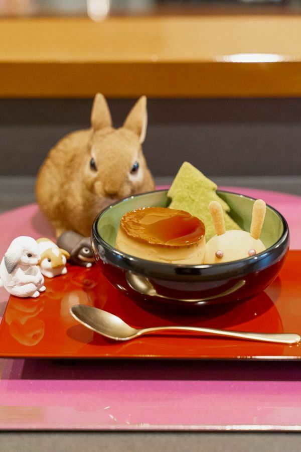 rurubuandmore's tweet photo. 【ウサギ×プリンに癒やされる】
「兎の杜」は、大阪・中崎町にあるプリン専門店。昔ながらの硬めプリンはもちろん、季節に合わせて登場する多彩なフレーバープリンも人気です。店内に並んだウサギのぬいぐるみやオブジェとともに、プリンの撮影も楽しめます。
https://t.co/MN8kw42aDr https://t.co/ePXt3W2Kcm