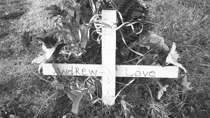 Killer Blues tweet media