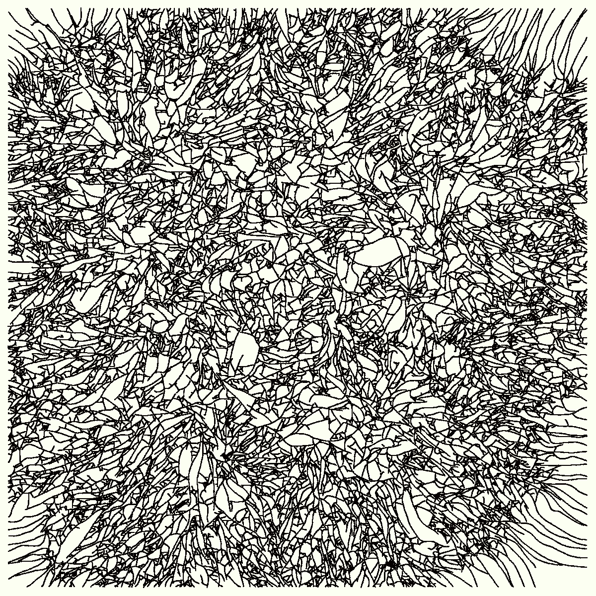 20230412090002 (21,667 snails)
