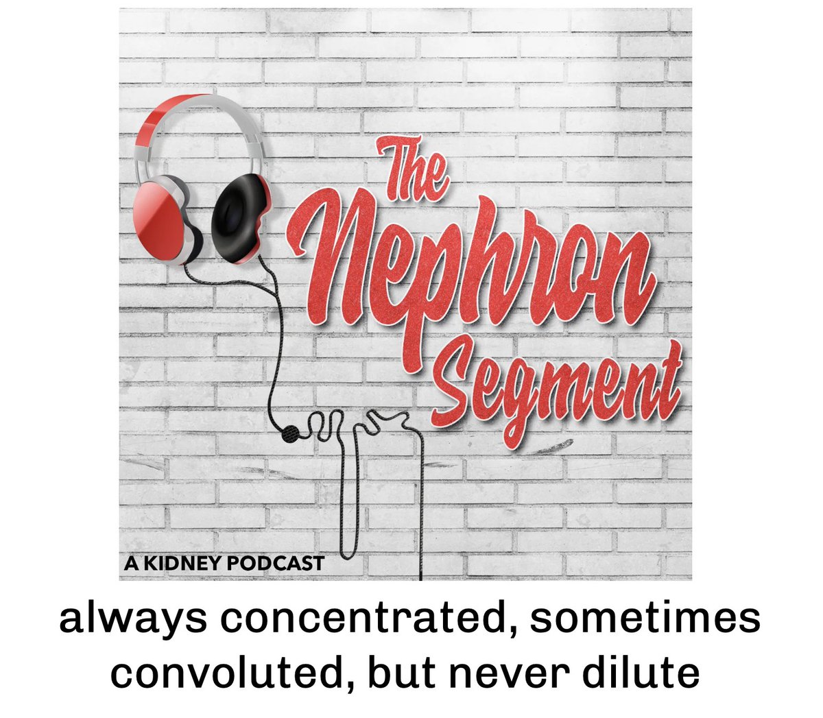 Episode 🔟 of The Nephron Segment coming soon All 9 episodes available here: nephsim.com/the-nephron-se… 'Always concentrated, sometimes convoluted, but never dilute' #Nephrology #NKFClinicals #Podcast @ssfarouk @Nephro_Sparks @ElinorMannon @kantsmd