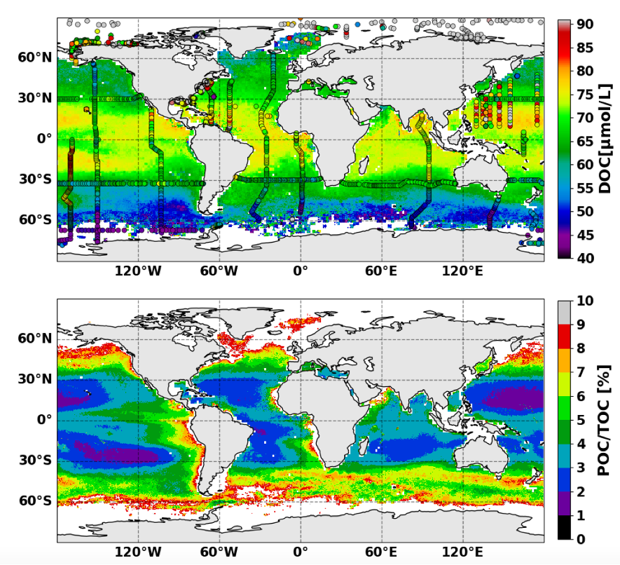 IOCCG's tweet photo. #Publication Bonelli et al. (2022) developed an artificial neural network (ANN) model to estimate dissolved organic carbon (DOC) from satellite ocean color remote sensing, including a temporal dimension in the inversion process.

Read the highlight: https://t.co/9ZcprFifCn https://t.co/3Oq9sEdGEK