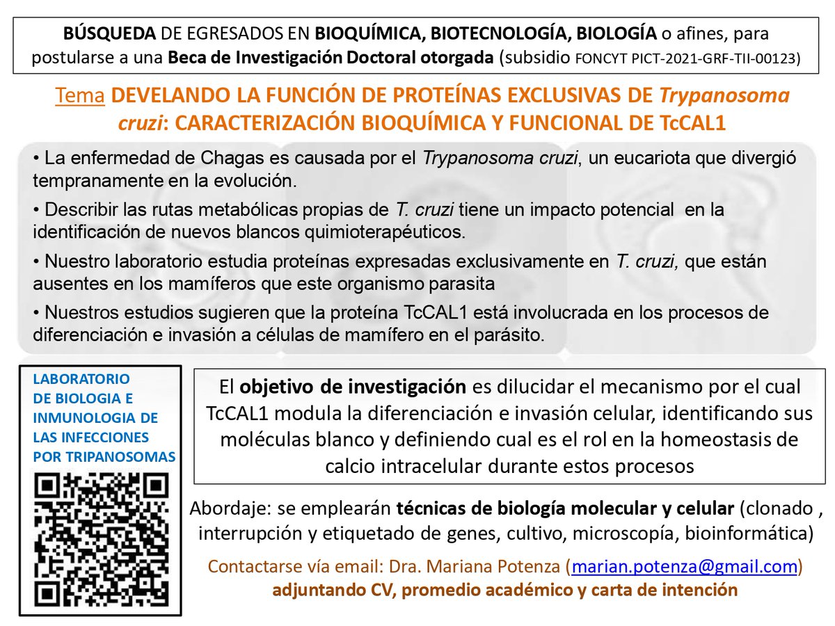 InTryps's tweet image. Posición doctoral ofrecida en nuestro laboratorio. Beca Agencia otorgada. Gracias por los retwits!