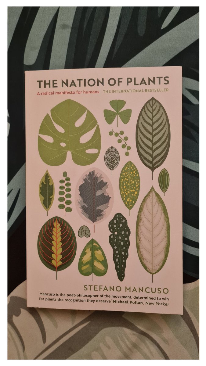 'Let's defend our forests and cover our cities with plants. There should be only one rule: wherever it is possible for a plant to live, there must be one' - Stefano Mancuso
• • • Indeed, let's! 
#TheNationOfPlants #ShiftingPerspective #PlantMoreTrees