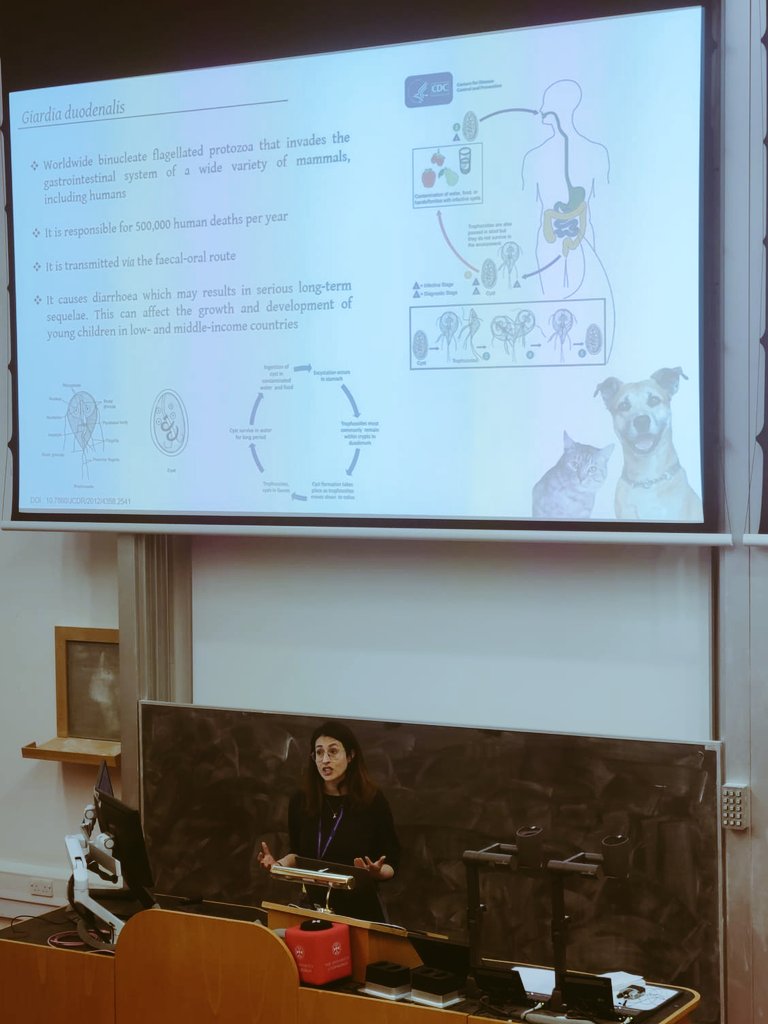 Rossella Panarese tweet media