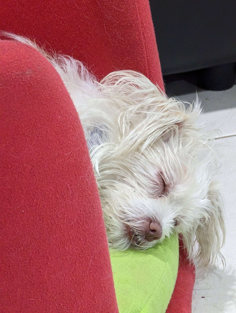 Brbteabreak's tweet photo. DO YOU LIKE ROGUELIKES?
DO YOU LIKE CARD GAMES?
DO YOU LIKE CUTE THINGS?
DOENS'T MATTER COME WATCH THE STREAM OR I WAKE HAZEL UP FROM HER SLUMBER
Games Wildfrost btw
#Twitch #roguelite #roguelike #gamerboss #eboy #massivedingus #MassiveBrain #ChessWarlord https://t.co/yl1HzGa67s
