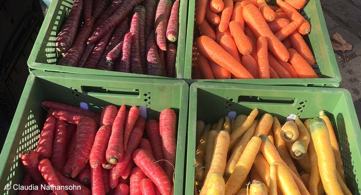 BfN_de's tweet photo. 🍅🥕🍏🥬 Mit jeder Mahlzeit nehmen wir auch Einfluss auf die biologische Vielfalt. Das neue Projekt #GreenSpoons von @Slowfood_de vermittelt Kindern &amp; Jugendlichen Wissen darüber, wie #Ernährung &amp; #Biodiversität zusammenhängen: https://t.co/rkHnUECbpL #bpbv https://t.co/plxme0Ynf3