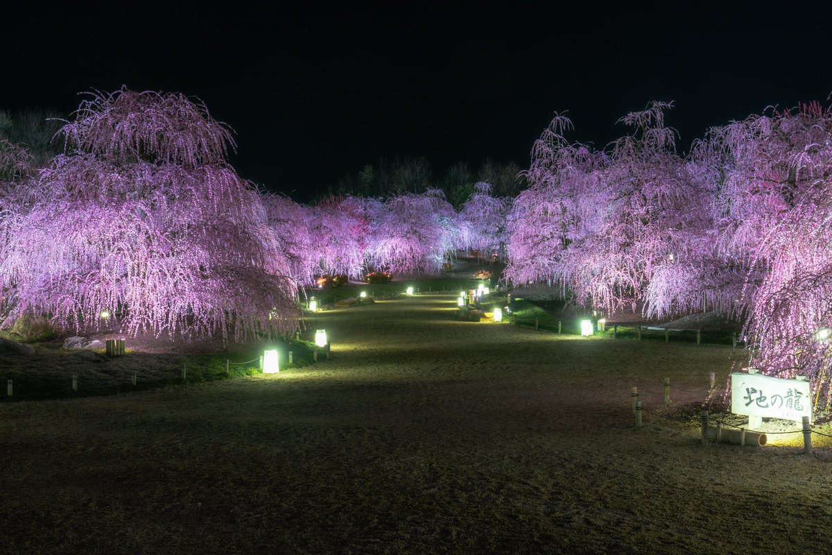 RON3931's tweet photo. 無人の鈴鹿の森👍✨#東京カメラ部 #ファインダー越しの私の世界 #写真好きな人とつながりたい #鈴鹿の森 https://t.co/1jpJ2YfUHM