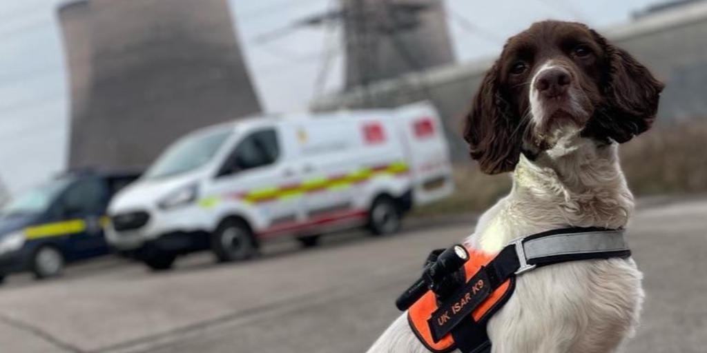 LancashireFRS's tweet photo. It's National Pet Month and a lovely excuse to share some pooch pics!

Why not share some some pictures of your furry friends below? We'd love to see them!

Follow @firesearchdogs for more 🐕

#NationalPetMonth #DogsOfTwitter https://t.co/aLwefo9qfk