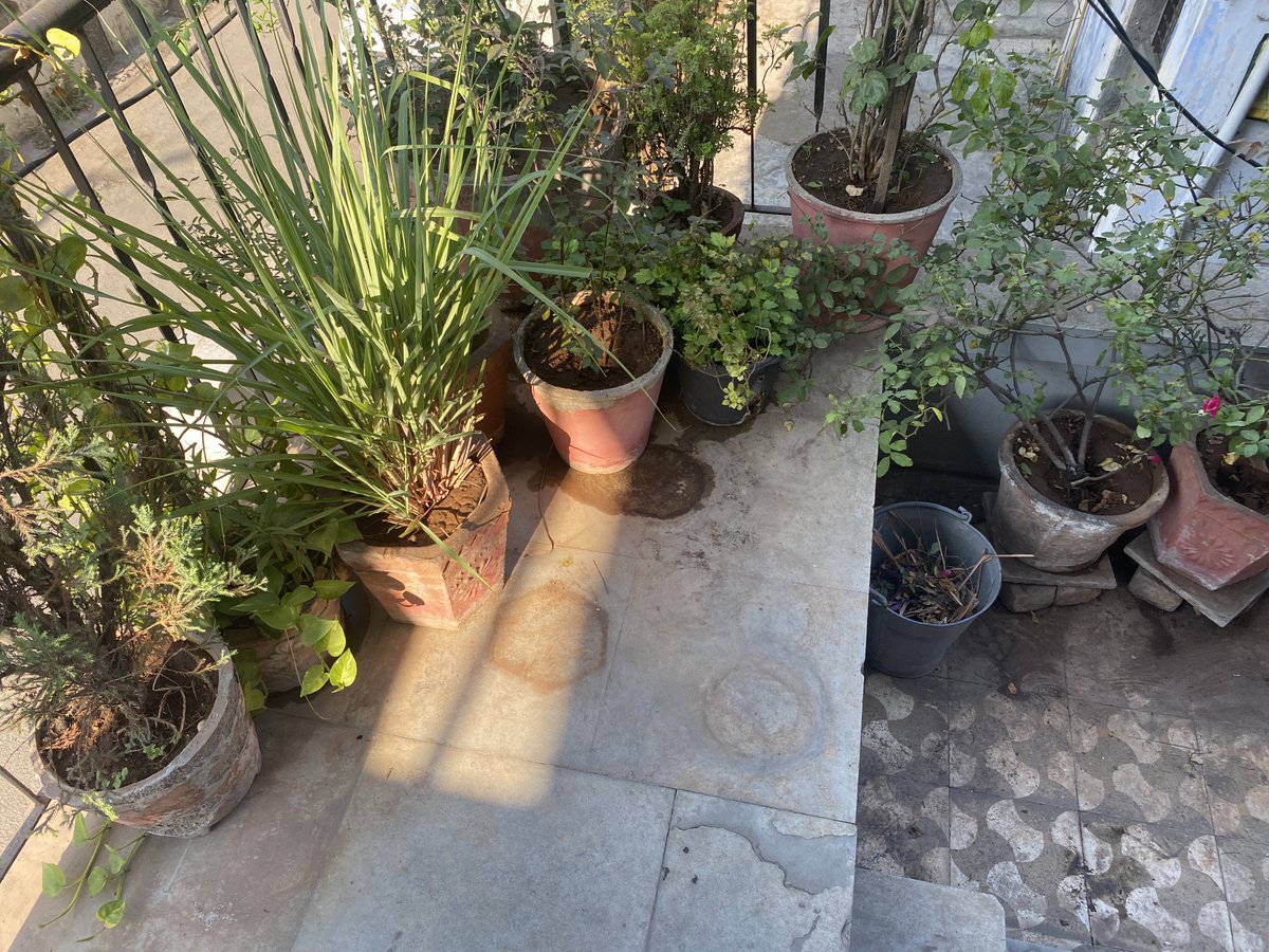 samardesai's tweet photo. Highly disappointed with @cromaretail 's delivery service. Everything was misplaced during delivery and delivery people left as is. Hope Croma takes responsibility and rectifies the situation. Poor experience with no resolution. @TataCompanies https://t.co/xEE76t2LWc