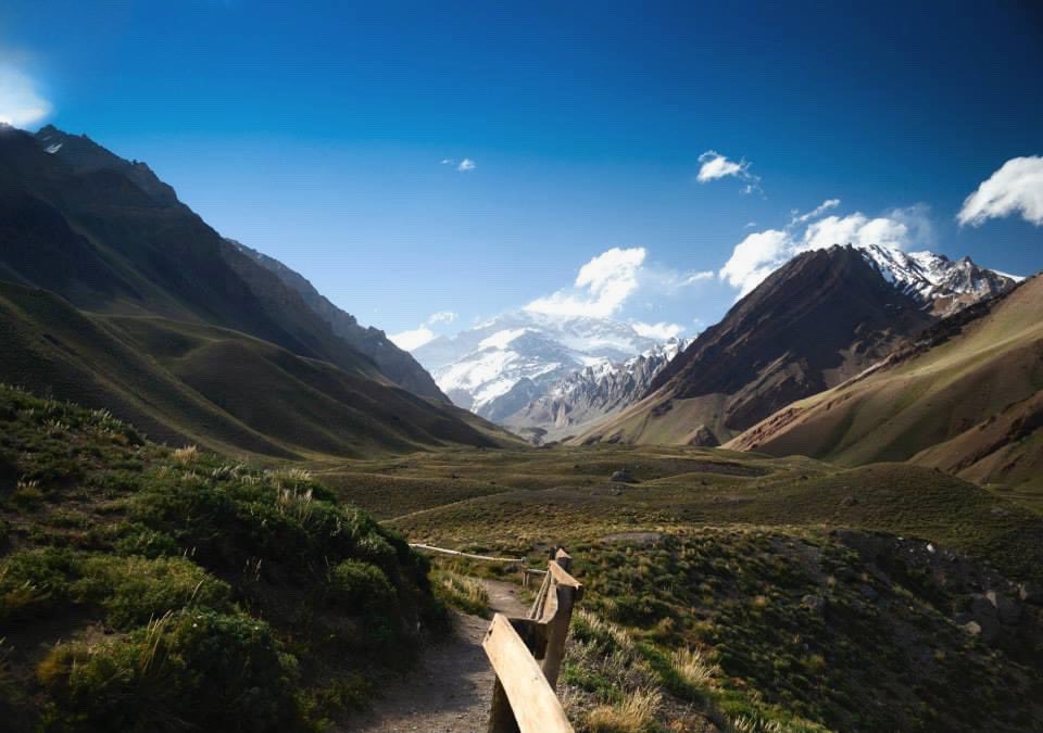 Alienigena — e/acc tweet media