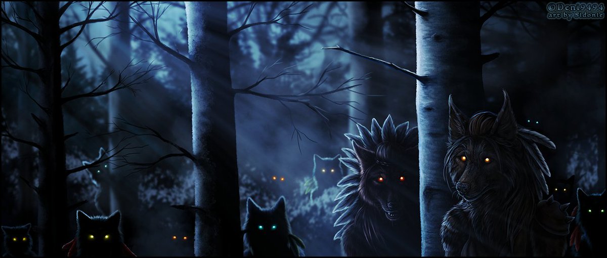 Dr. Wolfman tweet media