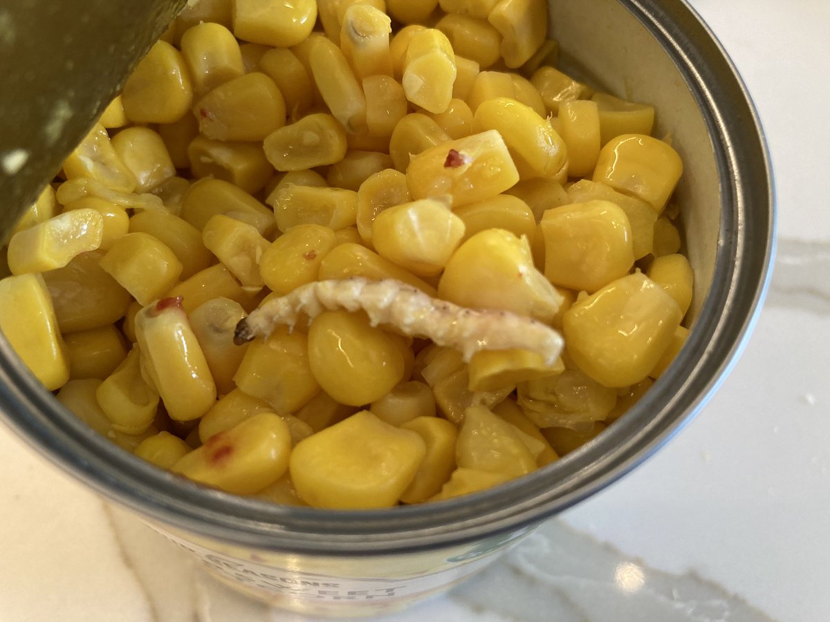 Lucy Ward tweet media