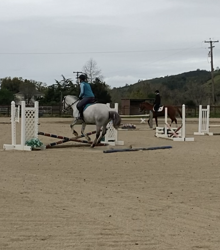 slohn's tweet image. 🐴 Do you want to jump? - mailchi.mp/eb0265a22c07/d… Jumping again after years of motherhood.

#equestrian #jumping #hunterjumpers #eventing #ridinghelmet