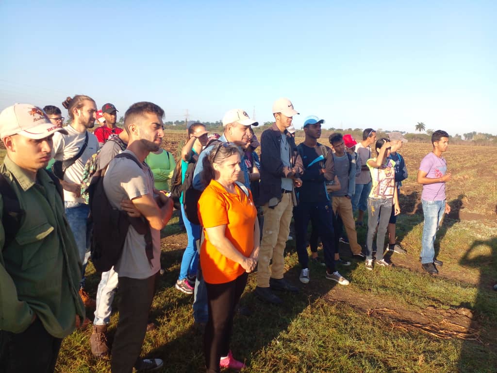 FEMeducauclv's tweet photo. Se trabajó duro!!! La  #FEMeduca estuvo presente con una muy buena respuesta movilizativa en la cosecha de papas en el Valle del Yabú.  #UCLVnuestra https://t.co/4MqezcgeNg