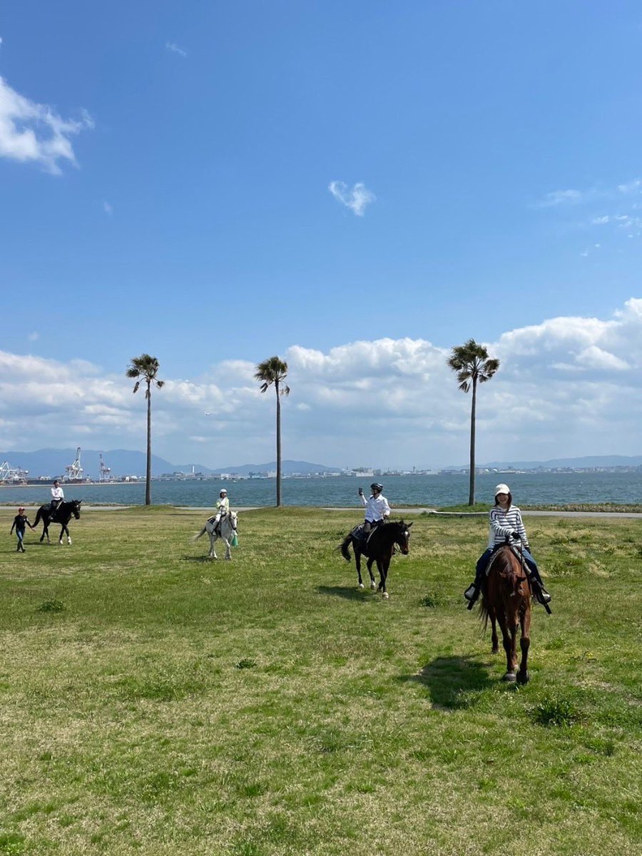 pcx00's tweet photo. 志賀島で馬乗ってきた
この天気で乗れたのが最高。 https://t.co/FEHNcThvKI