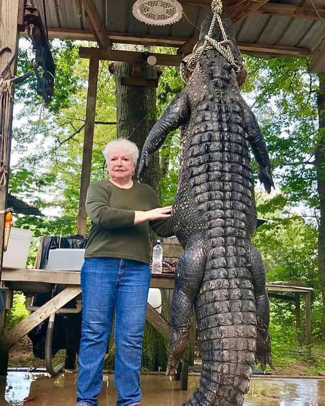 DiarioLibre's tweet image. 🇺🇸|#DiarioLibreUSA |  Caimán de 580 libras devoró un poni y su dueña no descansó hasta vengarse

🔗ow.ly/hlYB50NH1VJ

#DiarioLibre #Caimán #Poni #EstadosUnidos #Texas