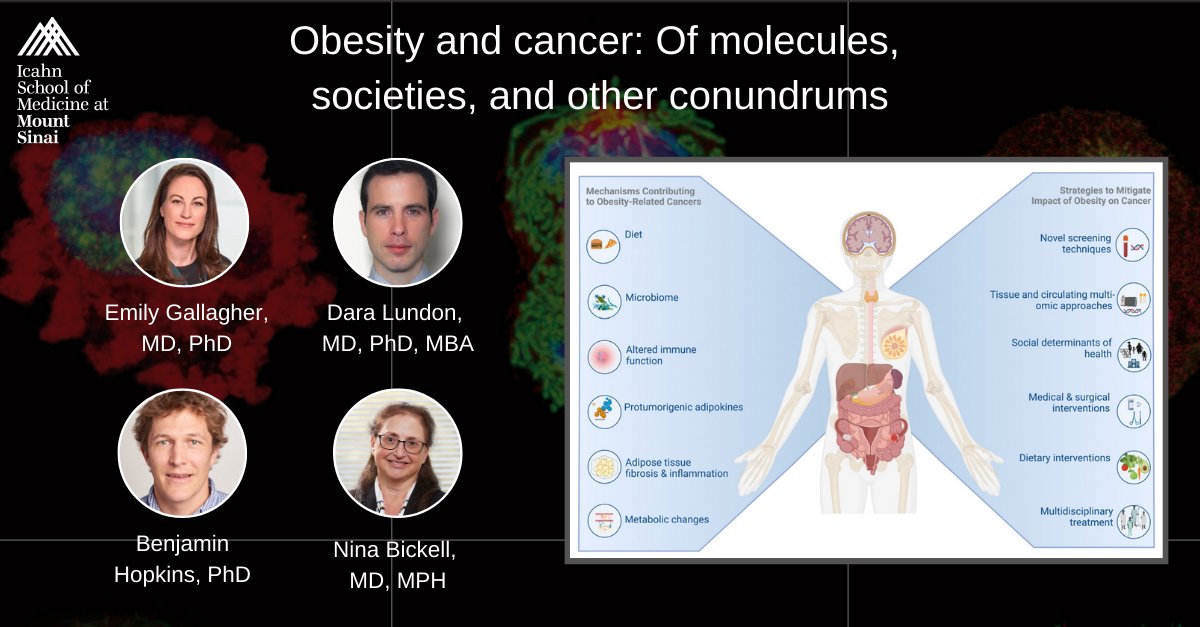 GradSchoolSinai's tweet photo. Obesity can impact every aspect of cancer’s evolution, from tumor initiation to diagnosis, therapeutic response and even survivorship. Researchers at @TischCancer &amp; @IcahnMountSinai reveal what is known about the relationship between obesity and cancer: https://t.co/xbup9VeXrR 💡 https://t.co/ejULh4DSXG