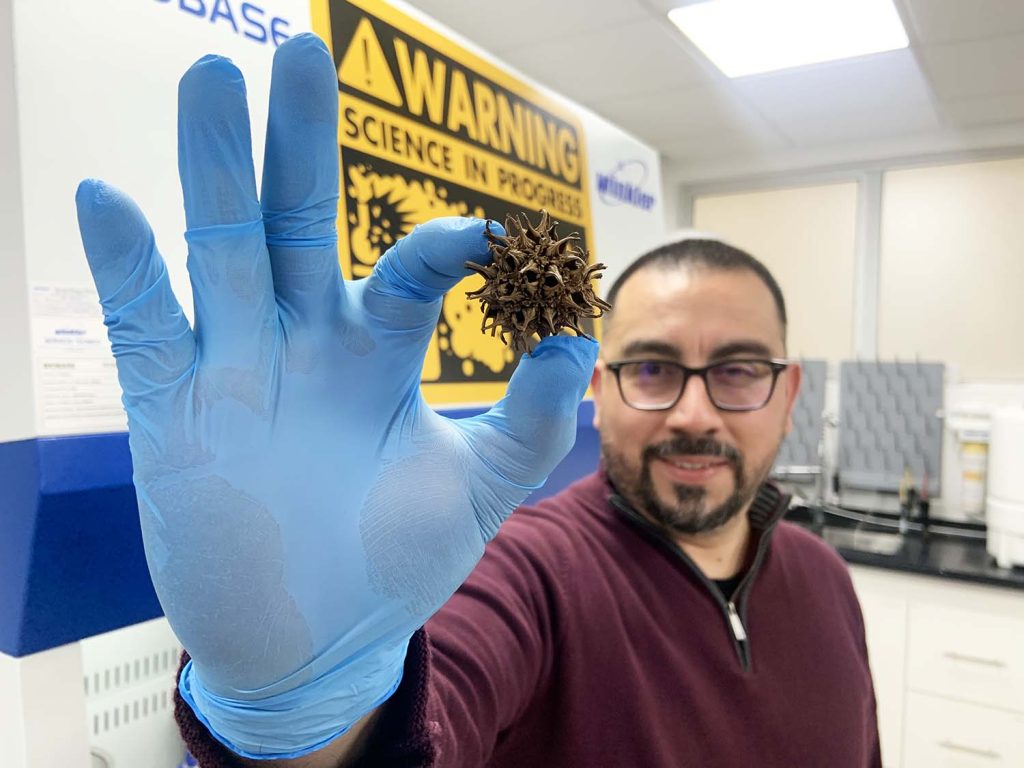 cda_cl's tweet photo. Investigadores de #LABMAT de la U. del Bío Bío y de la Swansea University en el Reino Unido, crearon microcápsulas para la autorreparación de #asfaltos de carreteras usando esporas provenientes de la reproducción biológica de plantas.

Revisa los detalles: https://t.co/1yt8Y1Kjen https://t.co/W2McgguXTc