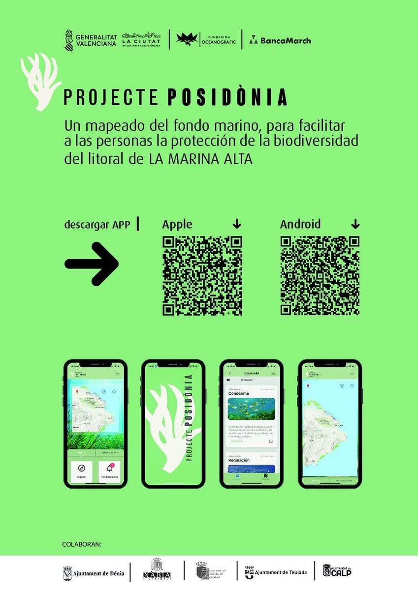 XabiaTurisme's tweet photo. La APP “Projecte Posidònia”🌱 ha sido desarrollada por la Fundación Oceanogràfic para ayudar a los patrones de las embarcaciones 🚤 a fondear ⚓️ en los fondos de nuestra costa que no tengan praderas de posidonia. https://t.co/0gFxqVZtw5