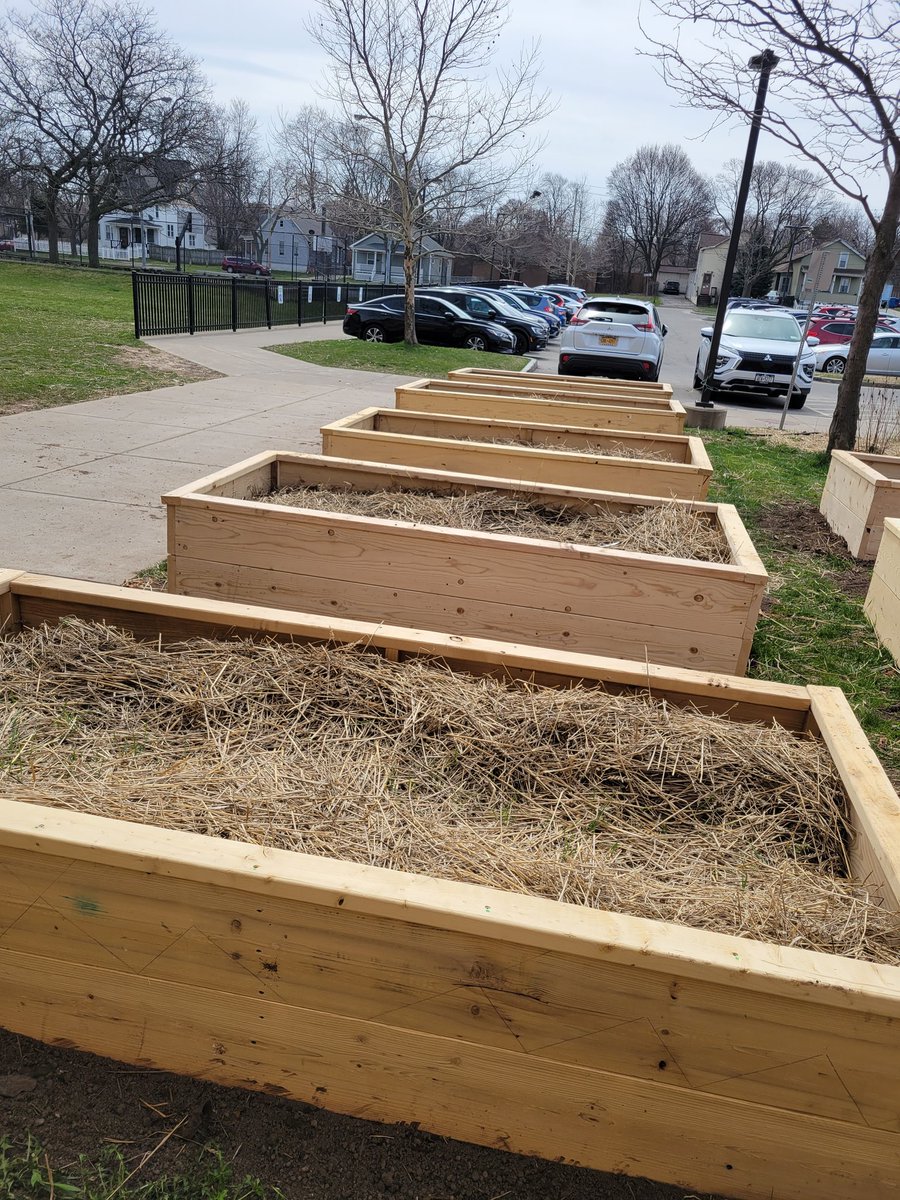 Sheldon Cox tweet media