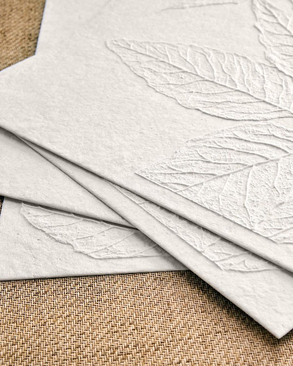 AltfieldLondon's tweet photo. W A L L P A P E R W E D N E S D A Y
Weitzner’s Spring 2023 Wallcovering collection, Forrest Bathing, introduces new paper tile designs!
Meet Leaflet, a delicate nature-inspired all over leaf pattern
#wallpaperwednesday #weitzner #availableataltfield https://t.co/wJ4sxUdybN
