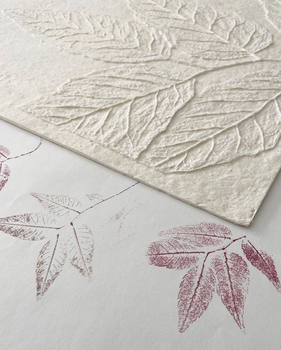 AltfieldLondon's tweet photo. W A L L P A P E R W E D N E S D A Y
Weitzner’s Spring 2023 Wallcovering collection, Forrest Bathing, introduces new paper tile designs!
Meet Leaflet, a delicate nature-inspired all over leaf pattern
#wallpaperwednesday #weitzner #availableataltfield https://t.co/wJ4sxUdybN