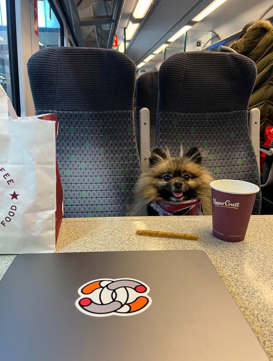 GEORGIE RIOT tweet media