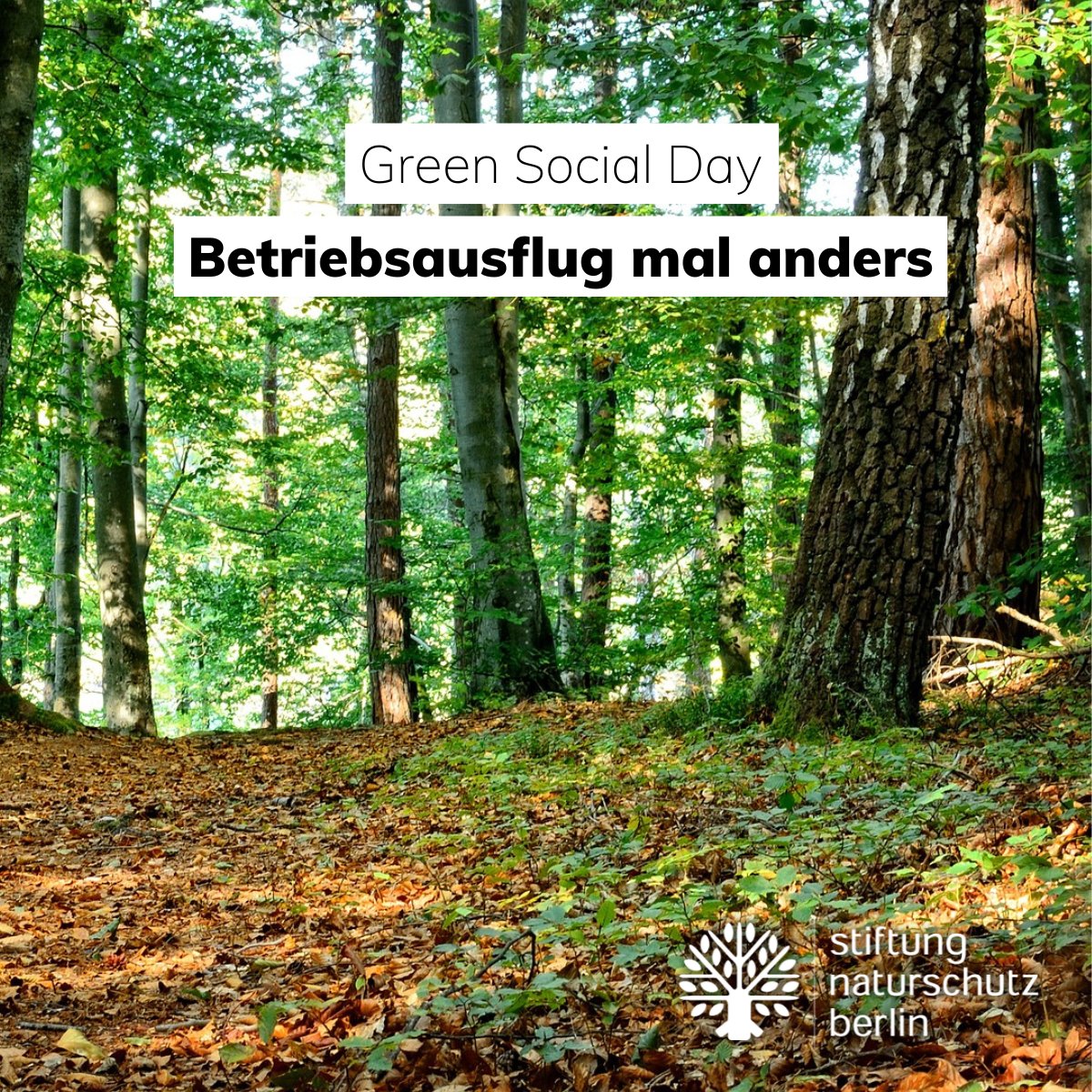 snb_de's tweet photo. Während des Betriebsausflugs den Teamgeist stärken und Gutes für die Natur tun? Das kannst du jetzt gemeinsam mit deinen Kolleg*innen bei einem Green Social Day!👉 https://t.co/NwbEQS7Csn https://t.co/oCpcy9K6ef