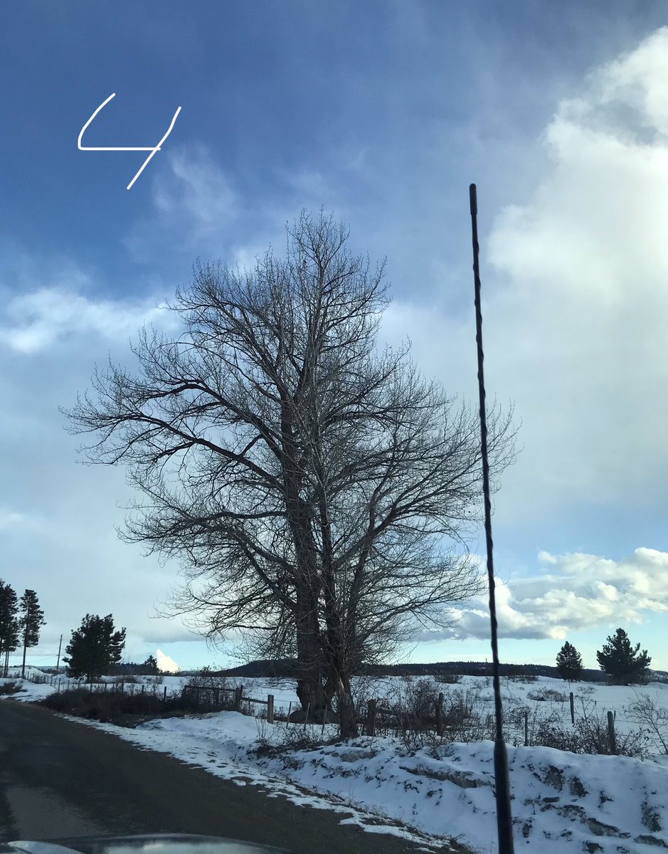 artbybiancaa's tweet image. Which landscape reference photo would be best to paint? 

1-4 

#referencephoto #askquestion #wednesdaythought #art #canadianartist #myownphotos #artist #landscapephotograph #helpdecide #winterpainting