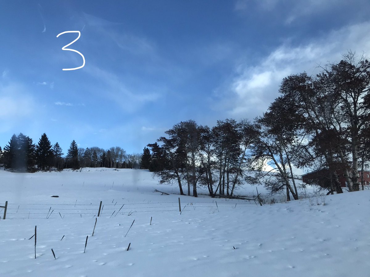 artbybiancaa's tweet image. Which landscape reference photo would be best to paint? 

1-4 

#referencephoto #askquestion #wednesdaythought #art #canadianartist #myownphotos #artist #landscapephotograph #helpdecide #winterpainting