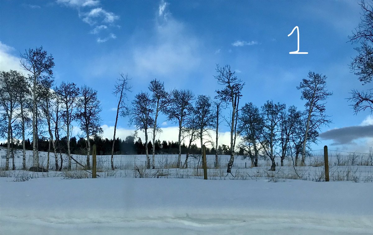 artbybiancaa's tweet image. Which landscape reference photo would be best to paint? 

1-4 

#referencephoto #askquestion #wednesdaythought #art #canadianartist #myownphotos #artist #landscapephotograph #helpdecide #winterpainting