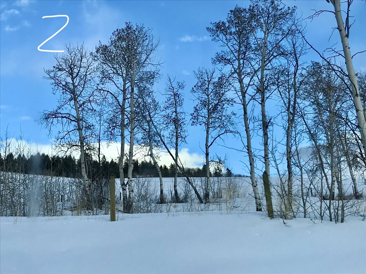 artbybiancaa's tweet image. Which landscape reference photo would be best to paint? 

1-4 

#referencephoto #askquestion #wednesdaythought #art #canadianartist #myownphotos #artist #landscapephotograph #helpdecide #winterpainting