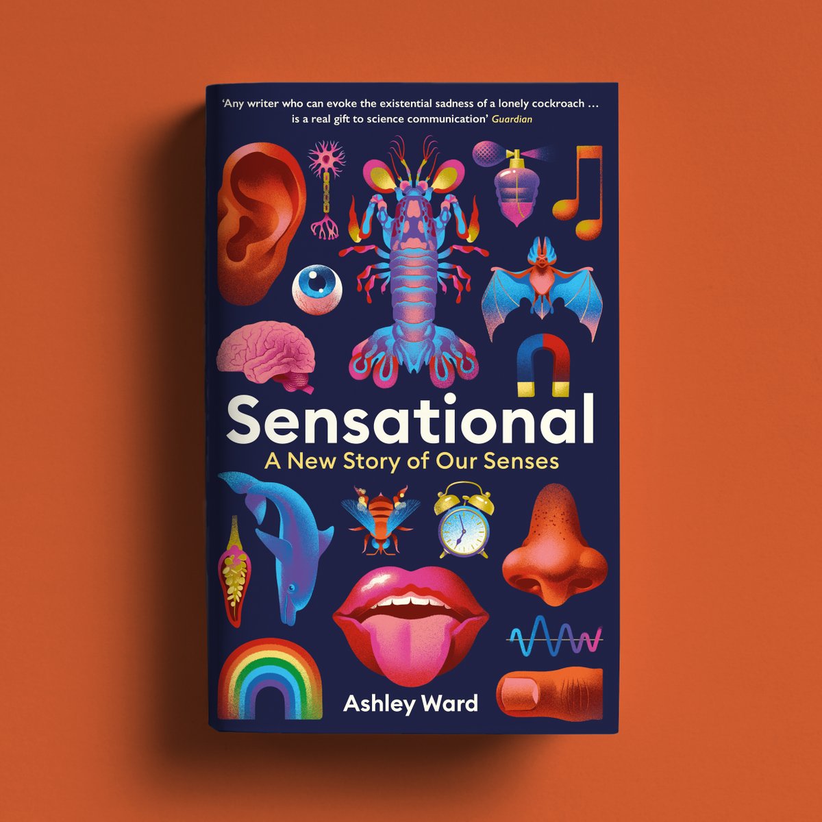 Design in Profile tweet media