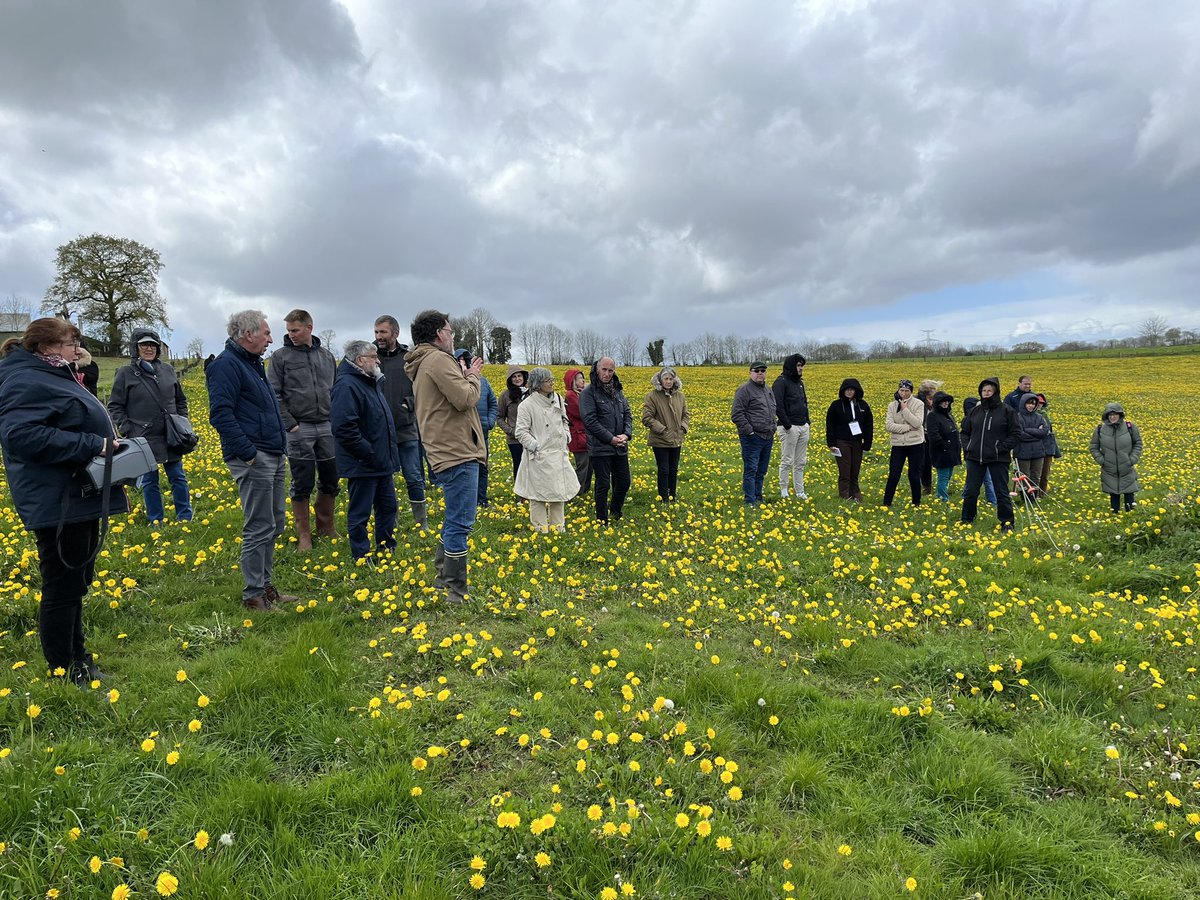 #RencontresTerritoriales n•9 - visite 3 la ferme de Ruzuliec à Saint-Thurien Sur cette ferme de 78 ha près de 1km de haies bocagères ont été replantées avec Breizh Bocage. 
#haiesbocageres #agriculture #Bocage #paysages