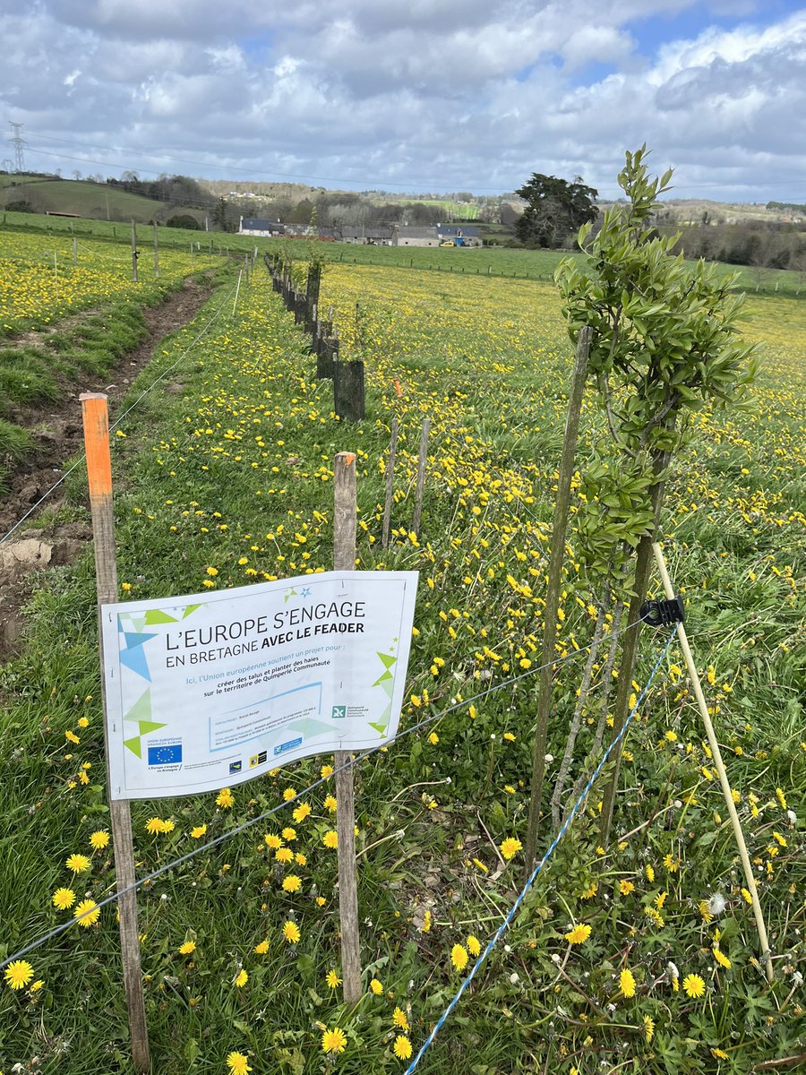 rozenn ferrec tweet media