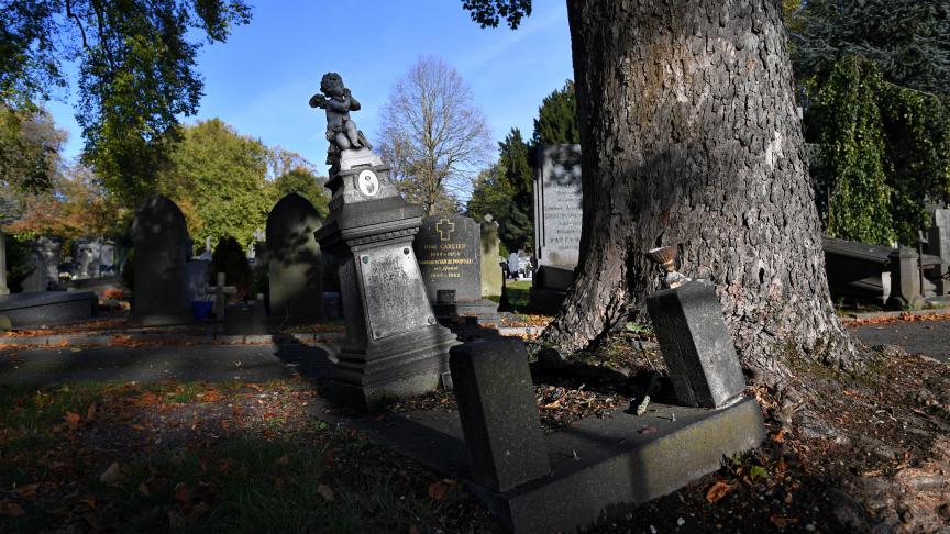 lavoixdunord's tweet image. #Vents violents : les #parcs, #jardins et #cimetières de #Lille ferment à 16 h ce mercredi, en raison de l&apos;#alertejaune émise par #MétéoFrance.
vdn.lv/P5Z7w5