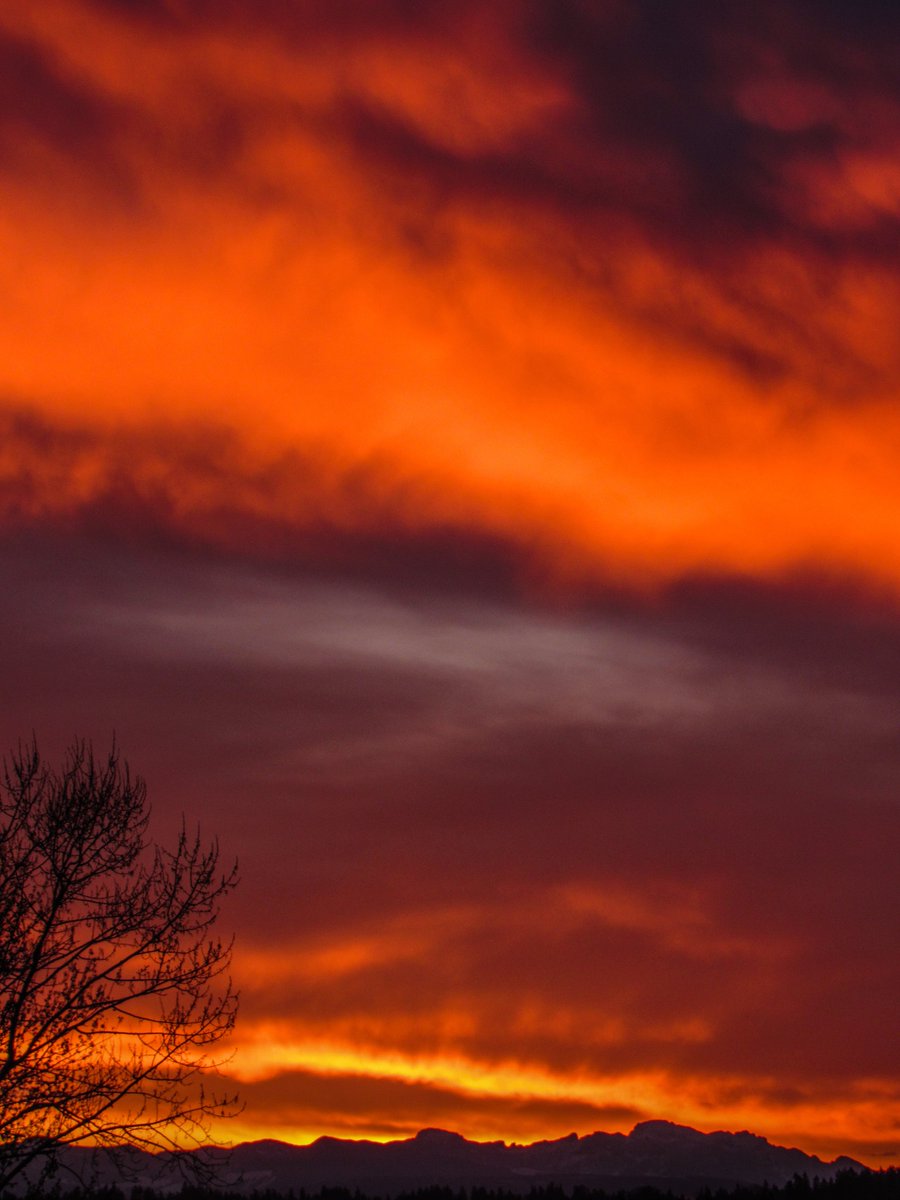 NWSSeattle's tweet photo. Well, that was something special.

#sunrise #wawx https://t.co/Y2DGRAiV9V