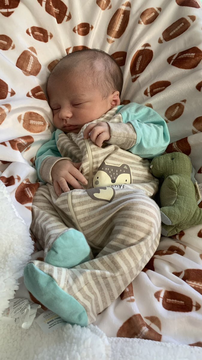 maddiekepling_'s tweet photo. how is my little birdie 3 weeks old already 🥺🥺🥺🥺 https://t.co/Gwaj4ga2Va