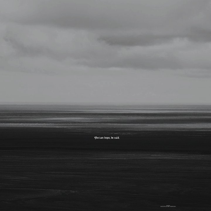 thesosiologs's tweet image. ️️

 ️️
 ️️
 ️️