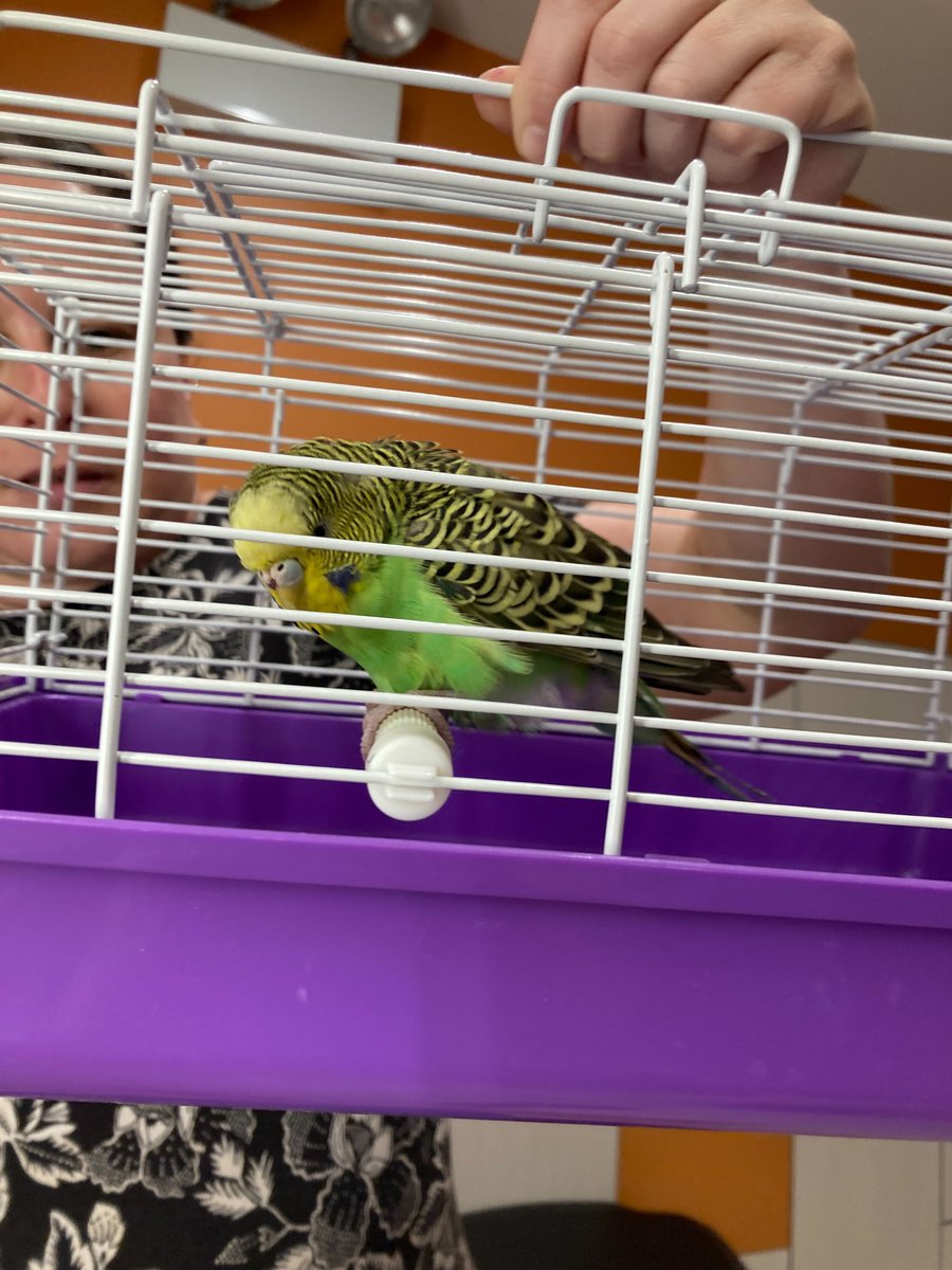 Kat Jercich tweet media