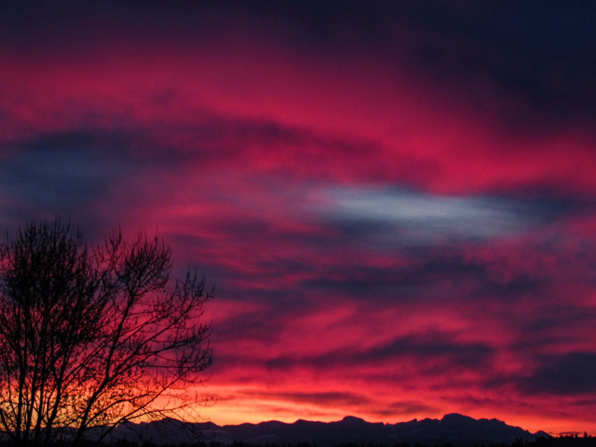 NWSSeattle's tweet photo. Well, that was something special.

#sunrise #wawx https://t.co/Y2DGRAiV9V