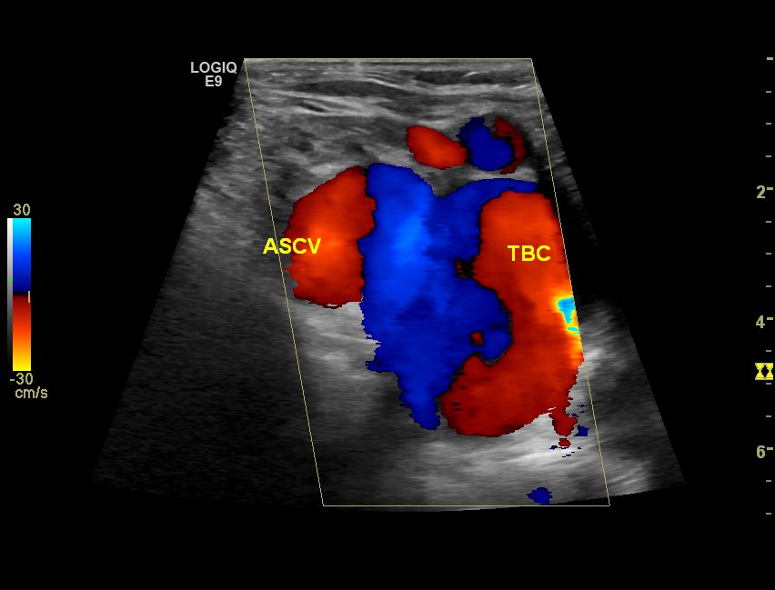 Neurosonology Lab - LHC tweet media