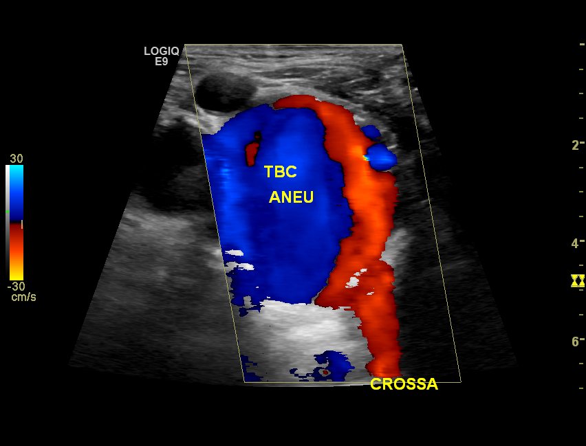 Neurosonology Lab - LHC tweet media