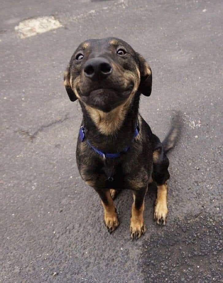 seiifoooo's tweet image. سيد العمدة