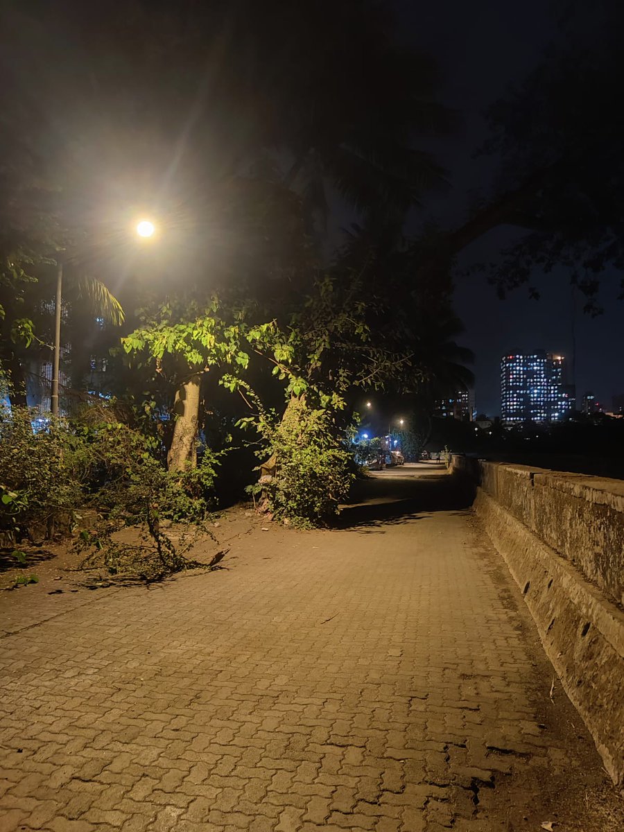 chef_sushrut's tweet photo. @mybmc @mybmcWardRC Need to install new light poll to avoid crimes. Road is unsafe for pedestrian to travel from new link road to New MHB Colony. @Adani_Elec_Mum Please install new light poll after light poll number - RDV 005/043 @BandBajaateRaho @BuyersWatchDog https://t.co/wWJV8tiZeQ