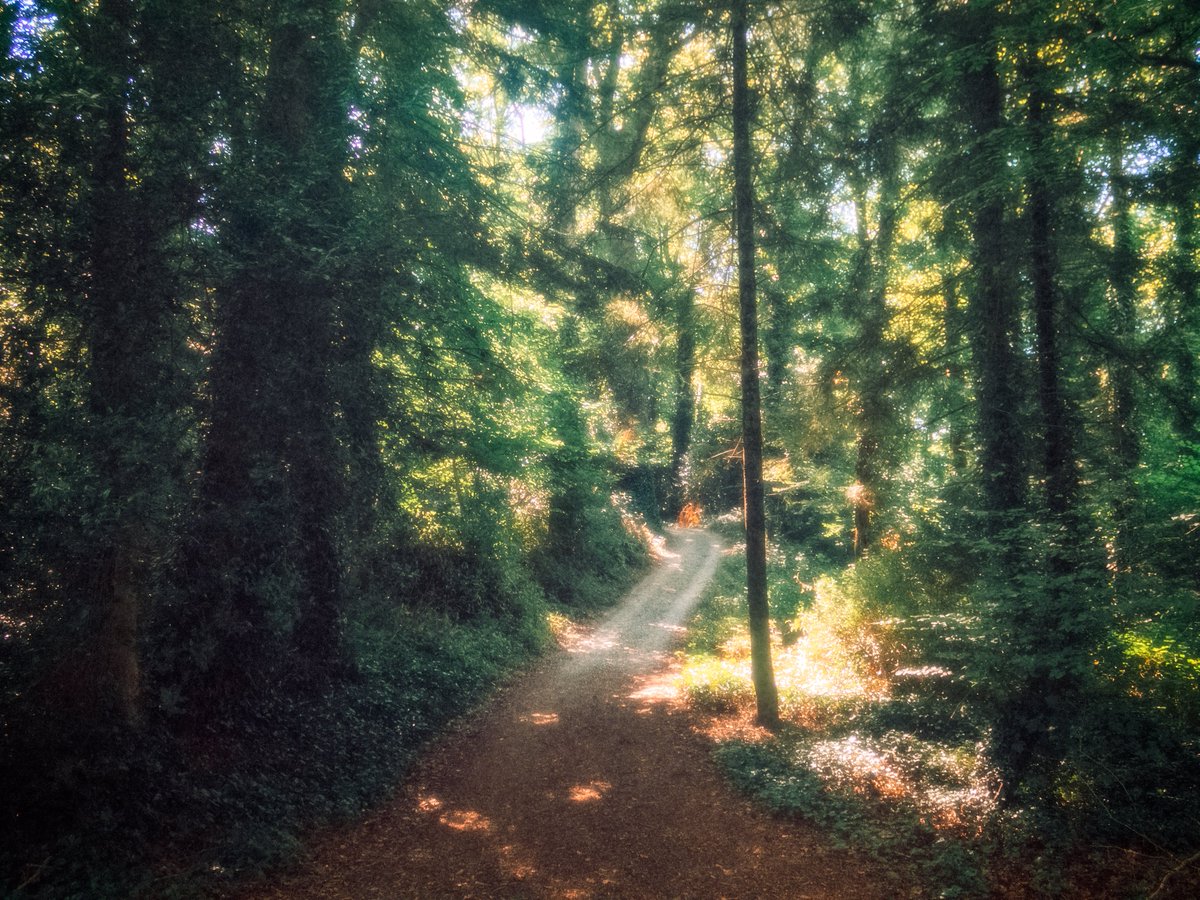 artofseanmurphy's tweet photo. Perspectives of The Wandering Adventurer https://t.co/hrkZ5XEo48